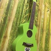 ĐÀN UKULELE CONCERT CHẤT LƯỢNG CAO CẤP NHIỀU MÀU SẮC - HÀNG CÓ SẴN