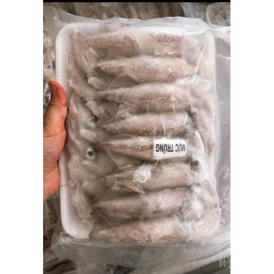 Mực trứng tươi nha trang siêu ngon size 15-20con / vỉ ,dễ dàng chế biến nhiều món ăn ngon(giao siêu tốc tphcm)