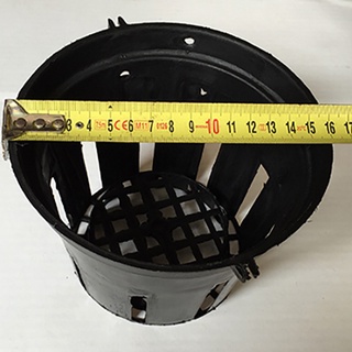 Chậu trồng lan phi 16 cm