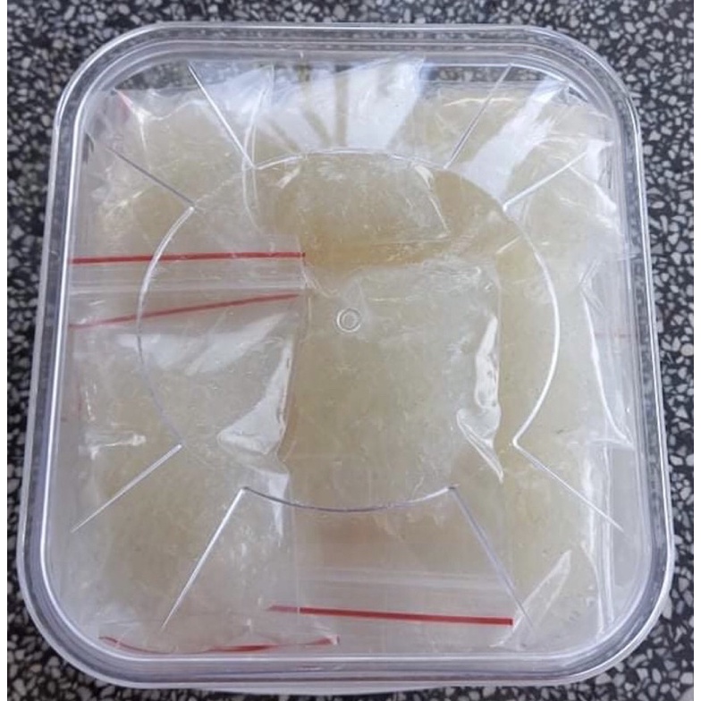 100gr Tổ yến tươi nguyên chất, sạch lông nhặt từ yến thô già- Yến Bình Thuận- Yến nhà bao giá