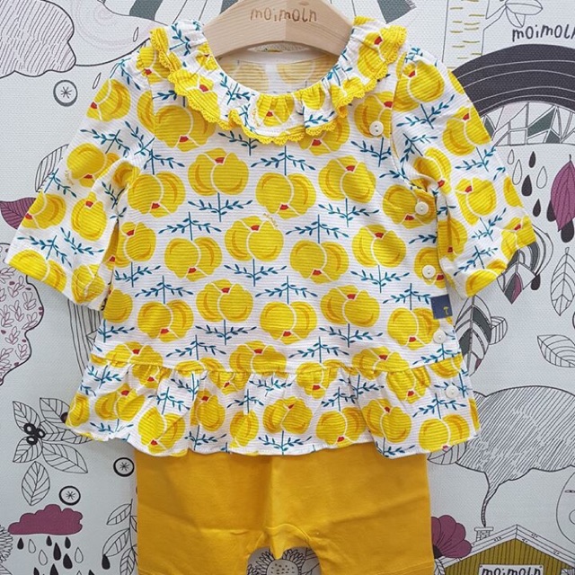 Bộ cotton giấy Moimoln