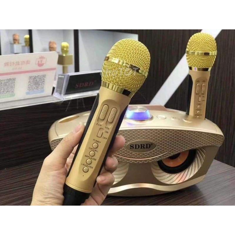 Loa bluetooth karaoke mắt cú SD306 kèm 2 mic siêu hay