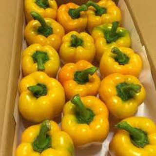 Hạt giống ớt ngọt vàng (10h)