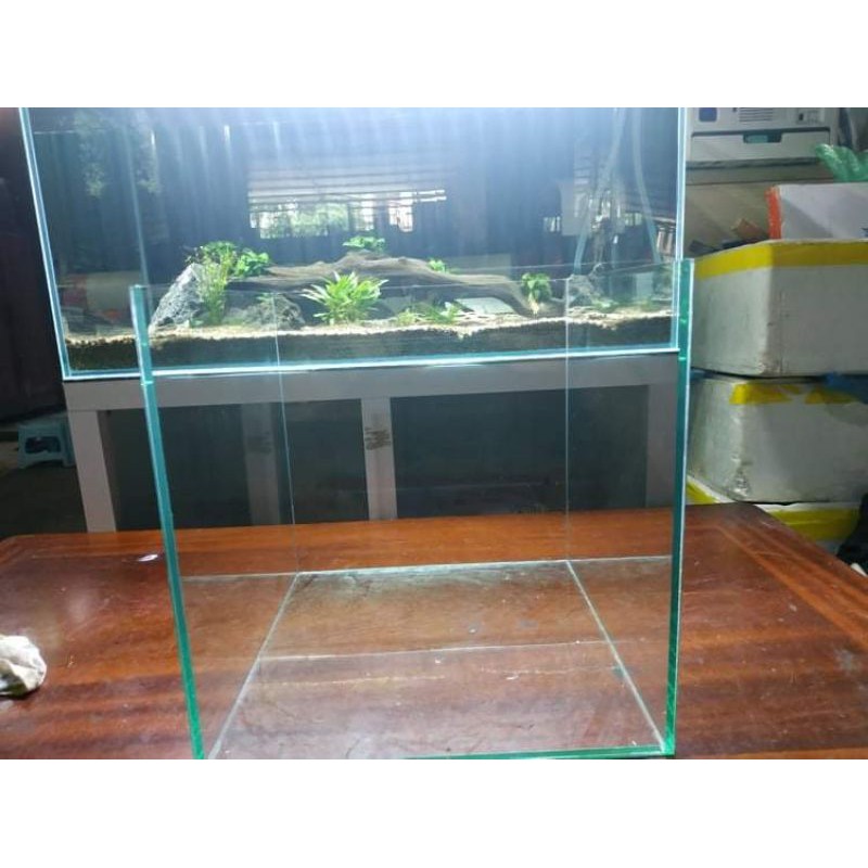 bể betta. bể cá mini để bàn 20.20.20 cb20 kính 5mm