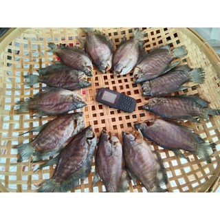 Khô cá sặc rằn