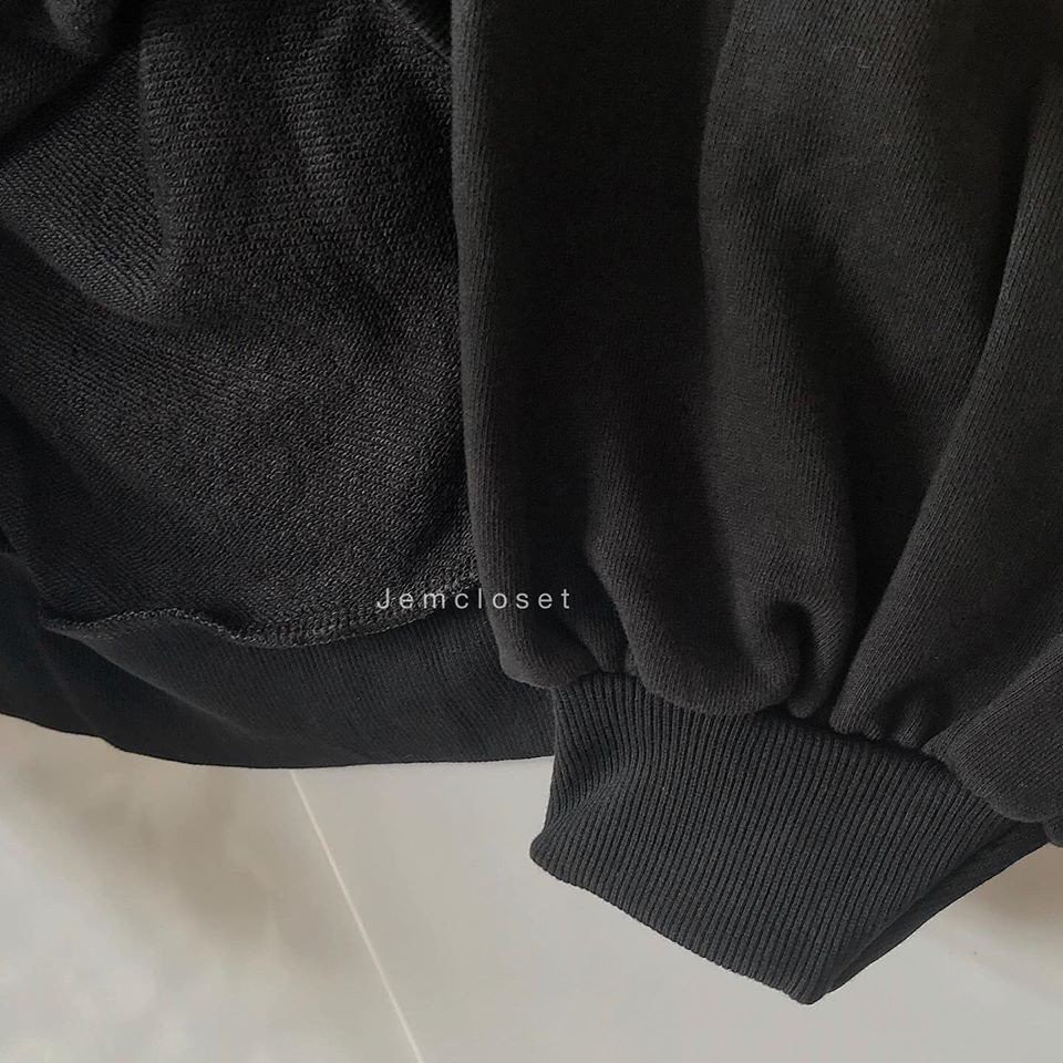 Áo hoodie nữ form rộng da cá THAT - 1643