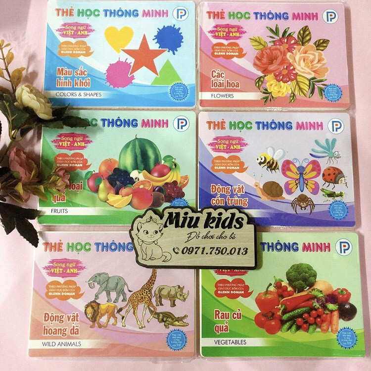 [TẶNG QUÀ 0] Thẻ học thông minh cho bé, flashcard 301 thẻ kích thước to 12x16cm, loại chuẩn glenn doman