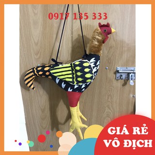 Gà Bông Tập Lực Cho Gà Đá