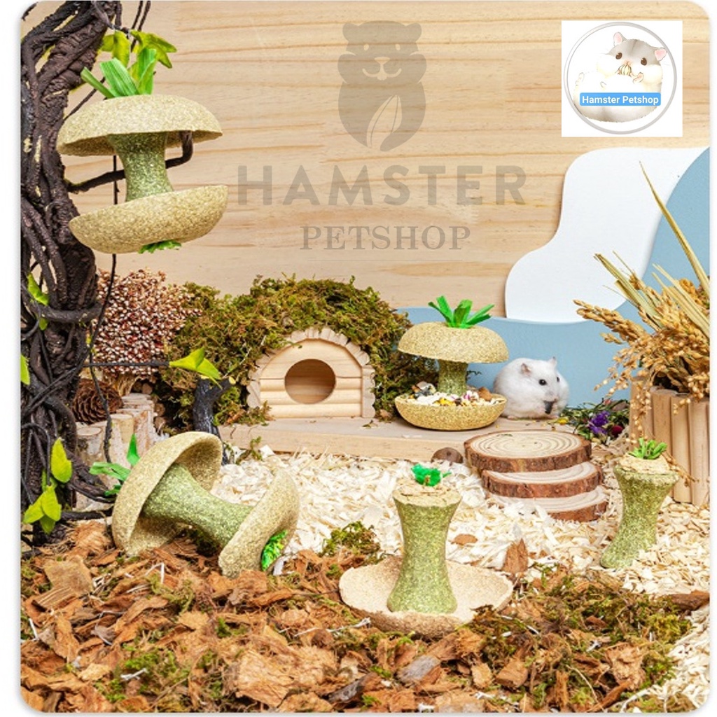 Bát ăn quả táo gặm dở Carno mài răng cho hamster , sóc , nhím