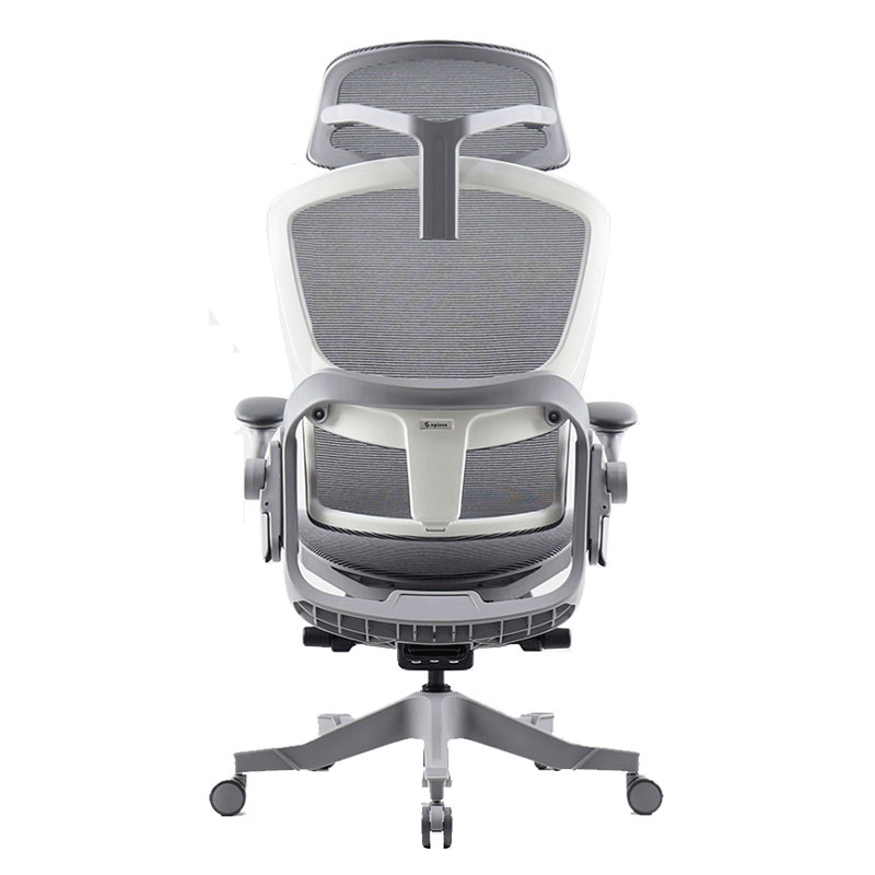 Ghế công thái học ergonomic Epione Easy Chair (All Black / Cool Gray) (Hàng chính hãng)