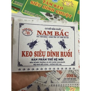 COMBO 10 Tấm keo SIÊU DÍNH RUỒI ( kèm video - GIÁ SỈ TỐT)