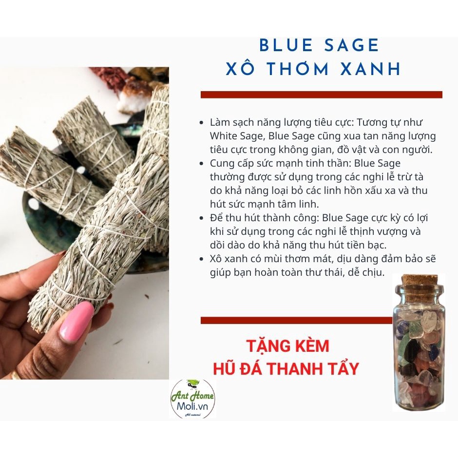 Bó xô thơm xanh chiêu tài lộc Kèm QÙA TẶNG phong thủy