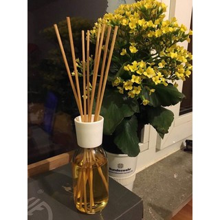 (bill+review) TINH DẦU THƠM HỮU CƠ ĐỂ PHÒNG PROFISSIMO Đức