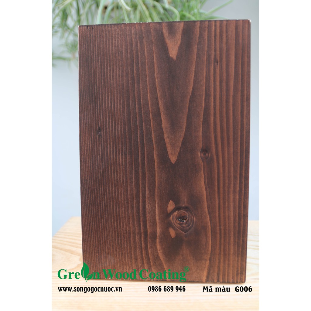 Sơn lau gỗ gốc nước Green - Bảng màu số 1- (Water-Based Wood Stain)