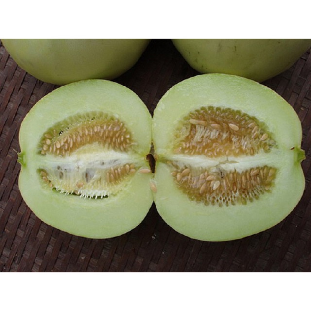Hạt dưa lê siêu ngọt vỏ trắng xanh gói 15 hạt
