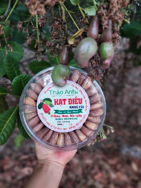 500gr hạt điều rang muối loại to ngon hút chân không | BigBuy360 - bigbuy360.vn