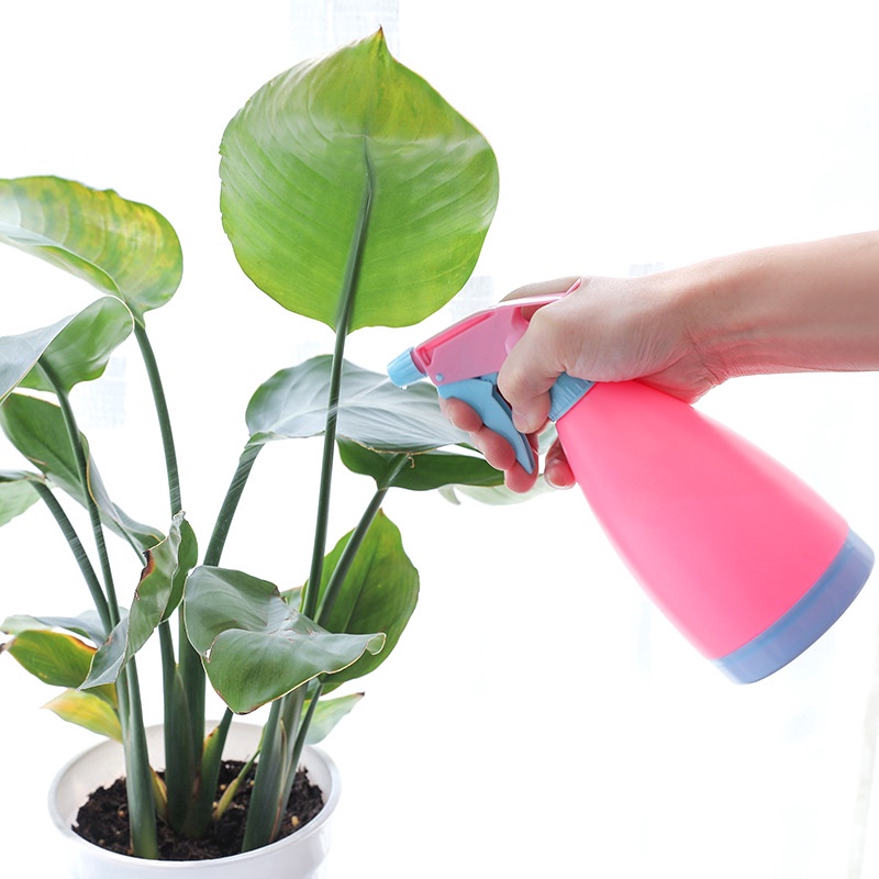 Bình Xịt Nước Tưới Cây 450ml Màu Sắc Ngọt Ngào Tiện Dụng