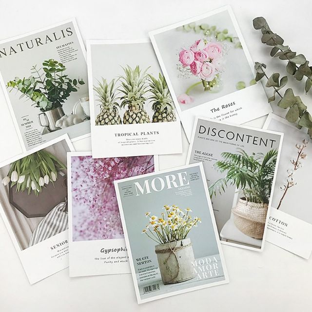 Phông nền chụp ảnh - 10 mẫu bìa tạp chí mới nhất hoa cỏ