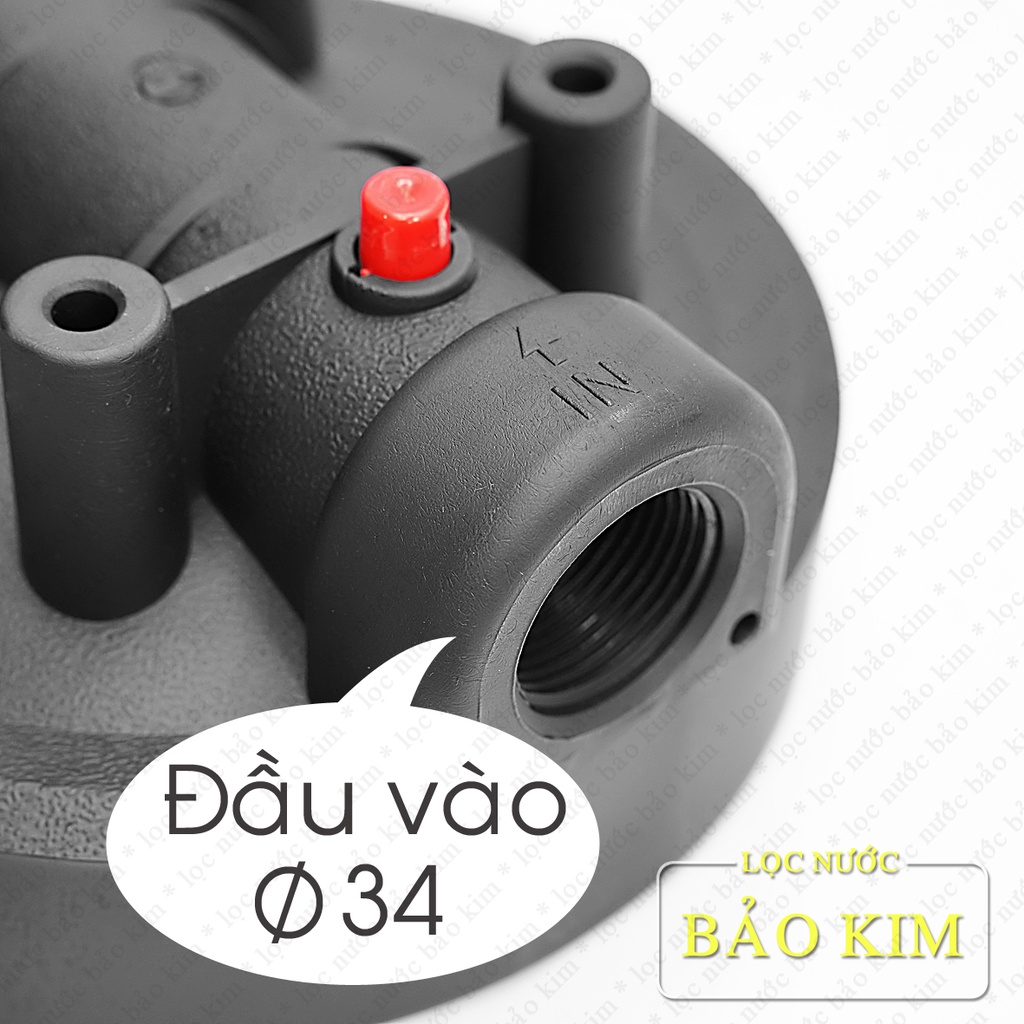 Bộ lọc nước đầu nguồn SMY 20 inch Bigblue | ren 34