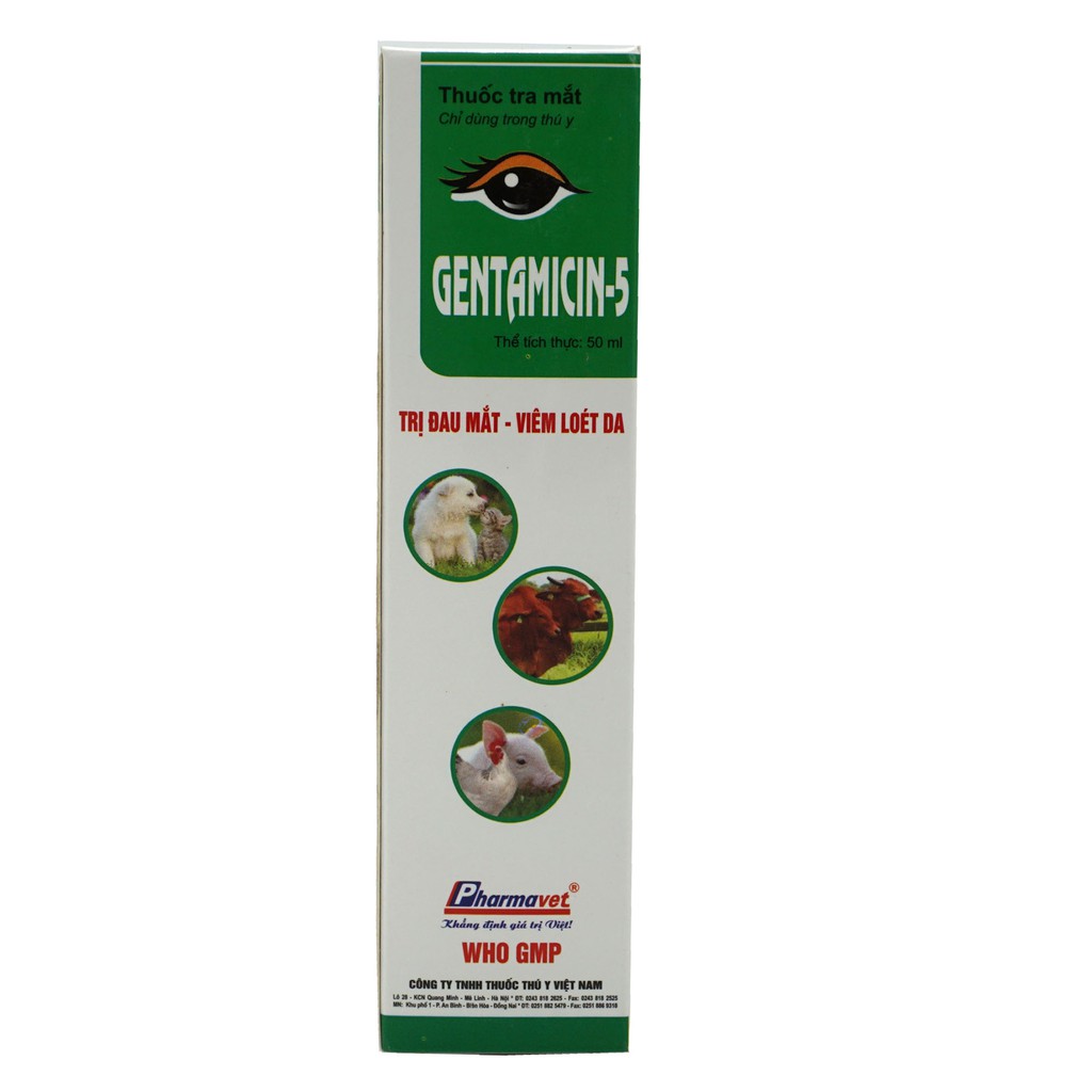 Gentamicin-5 Dùng cho đau mắt, viêm loét da