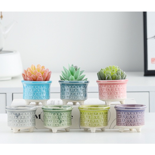 Chậu cây gốm sứ pastel hoa văn mini CHAUM5 trồng hoa sen đá cây cảnh cute trang trí decor để bàn ống bút cắm đồ