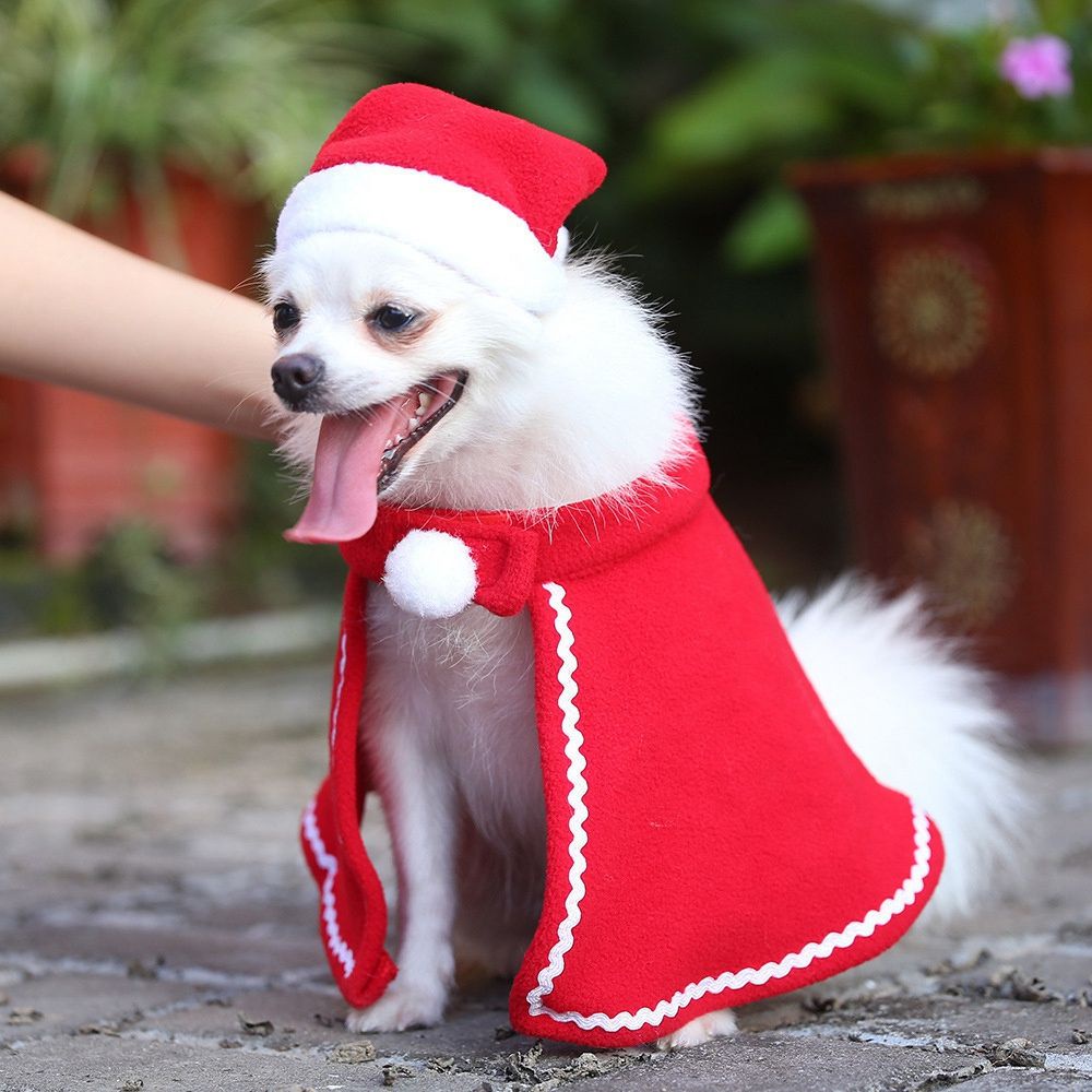 Trang Phục Hóa Trang Giáng Sinh Cho Thú Cưng