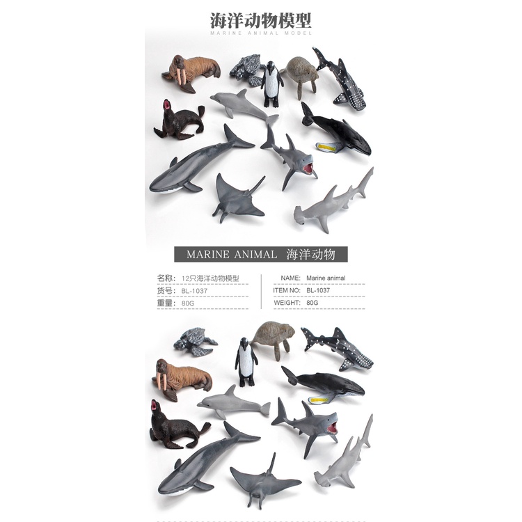 Set 12 Mô Hình Cá Mập Trắng Trang Trí