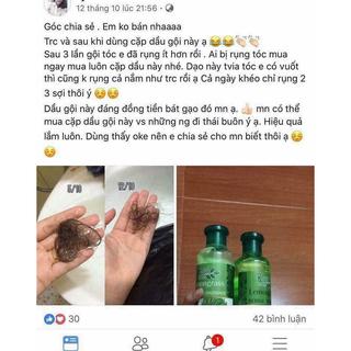dầu gội trị rụng tóc