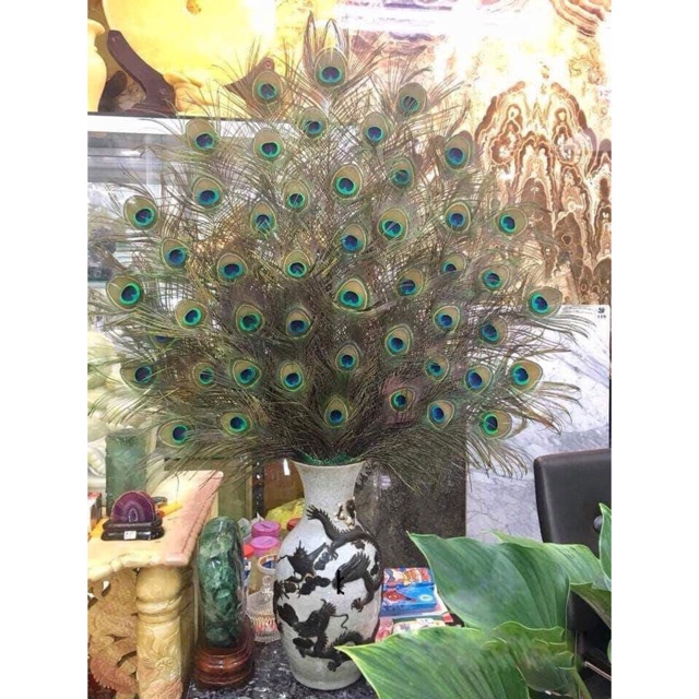 Lông công xanh tự nhiên 65-70cm loại 1 TO ĐẠI | BigBuy360 - bigbuy360.vn