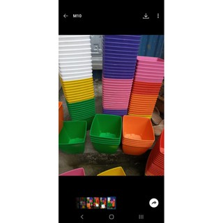 Chậu vuông V16cm nhiều mầu sắc tươi đẹp