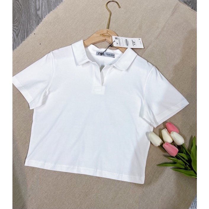 Áo croptop MinChi nữ vải cotton co giãn thoáng mát croptop ngắn tay thun đẹp nhiều màu cổ trụ free size