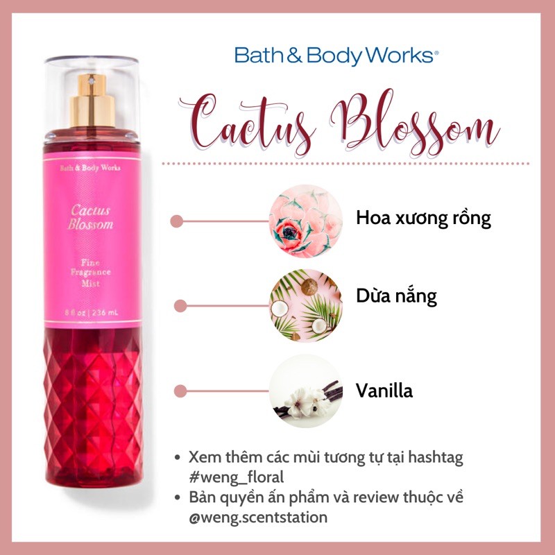 Xịt thơm toàn thân bodymist Bath & Body Works mùi Cactus Blossom