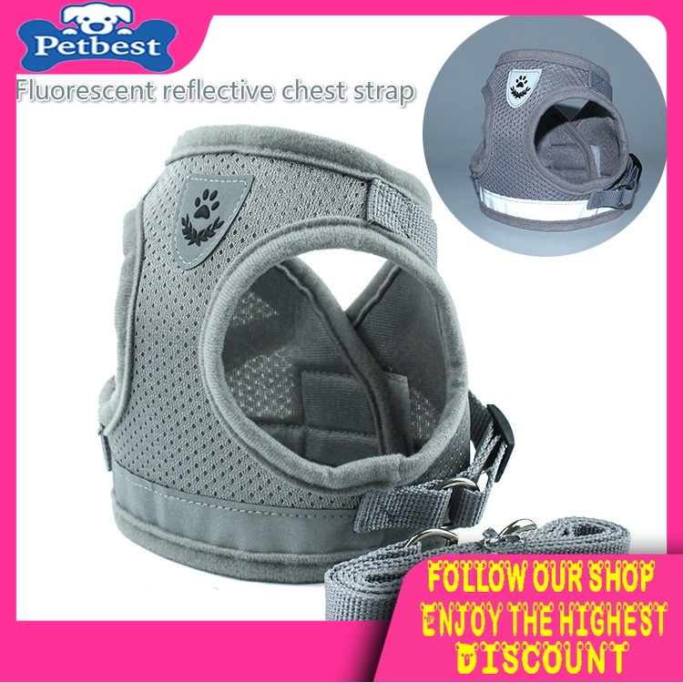 Dây dắt thú cưng đi dạo màu dạ quang tiện dụng