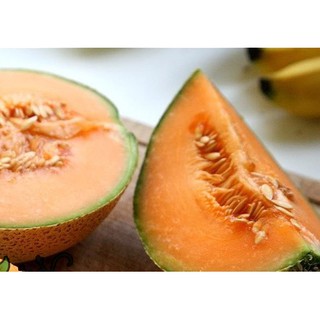 Hạt Giống Dưa Lưới Mật Ong Tặng Kèm Kích Mầm Và Hướng Dẫn