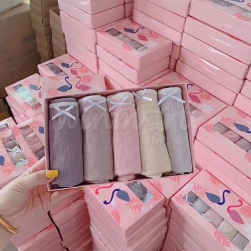 SET 5 CHIẾC QUẦN LÓT COTTON HÌNH HẠC