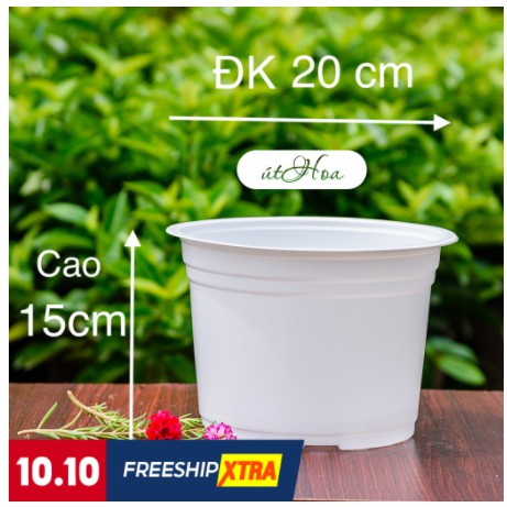 Comboo 10 chậu nhựa trắng(20x15cm)