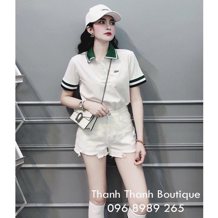 Áo polo cá sấu cổ xanh CT