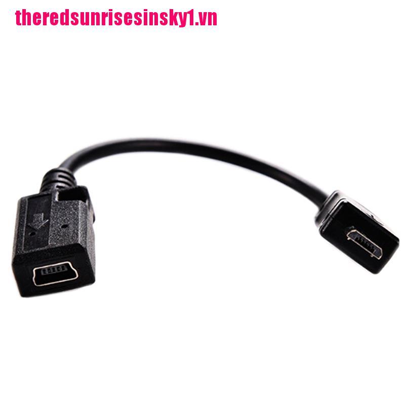 (3C) Giắc Chuyển Đổi Từ 2pcs Micro Usb Male Sang Mini Usb Female