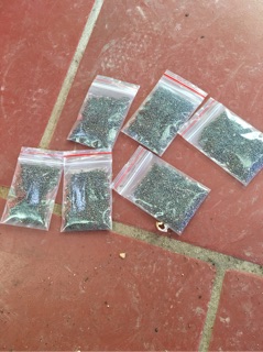 Hạt hoa tuý điệp