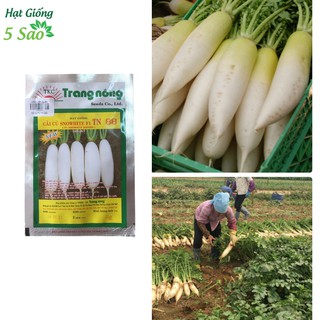 Hạt giống CẢI CỦ F1 TN 88 (2g)