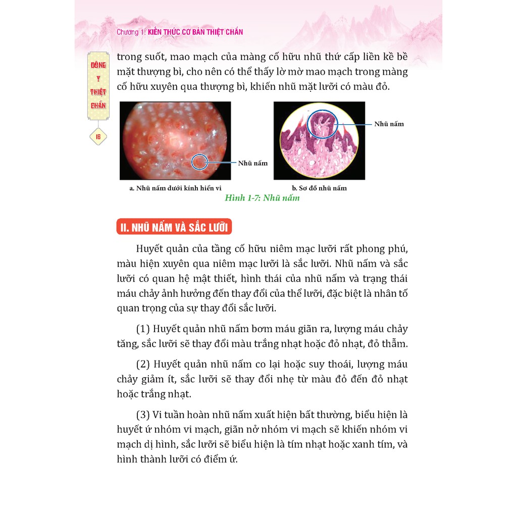 Sách - Đông y thiệt chuẩn (bìa mềm)+ Tặng sổ tay