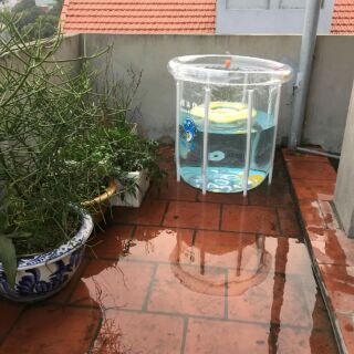 Bể bơi spa tại nhà cho bé