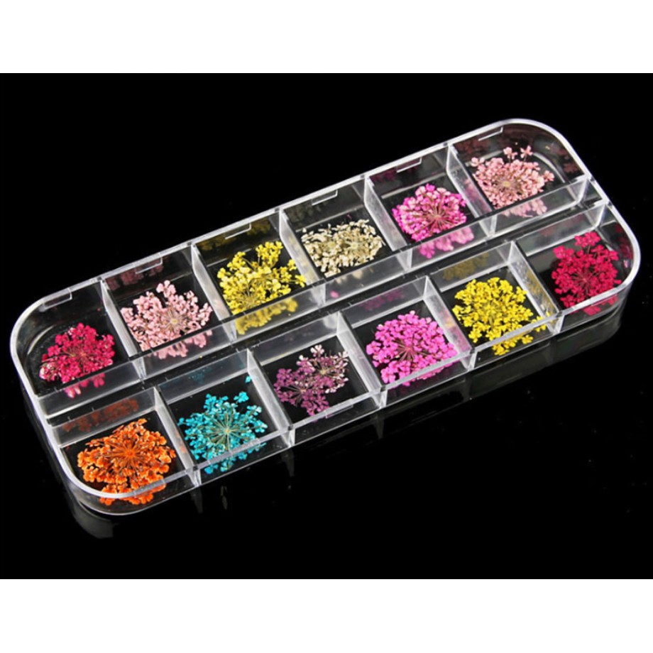 Khay Hoa Khô - 12 màu