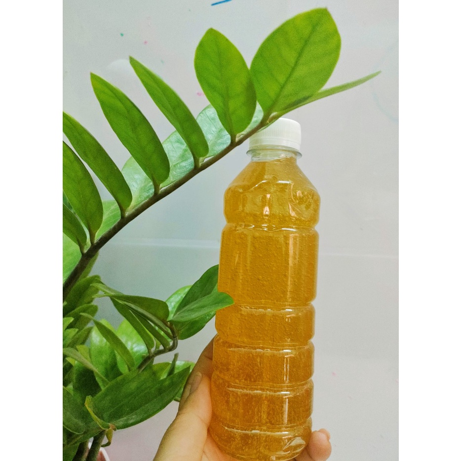 Serum dưỡng ẩm Collagen căng bóng da nhân sâm cấp ẩm sáng da thúc đẩy sản sinh tế bào mới phục hồi 20ml