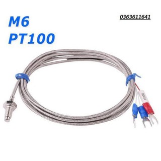 Can nhiệt Pt100 M6 dây dài 2m, dải nhiệt đo -200~420 oC