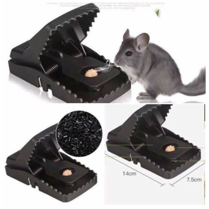 Combo 4 Kẹp Bẫy Chuột Siêu Nhậy tiện lợi hữu ích