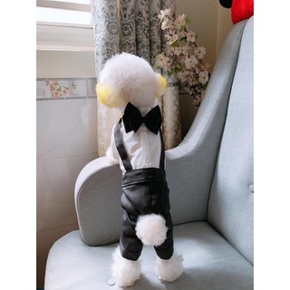 Tặng kèm nơ - Vest cho cho mèo quần áo chú rể cho chó mèo