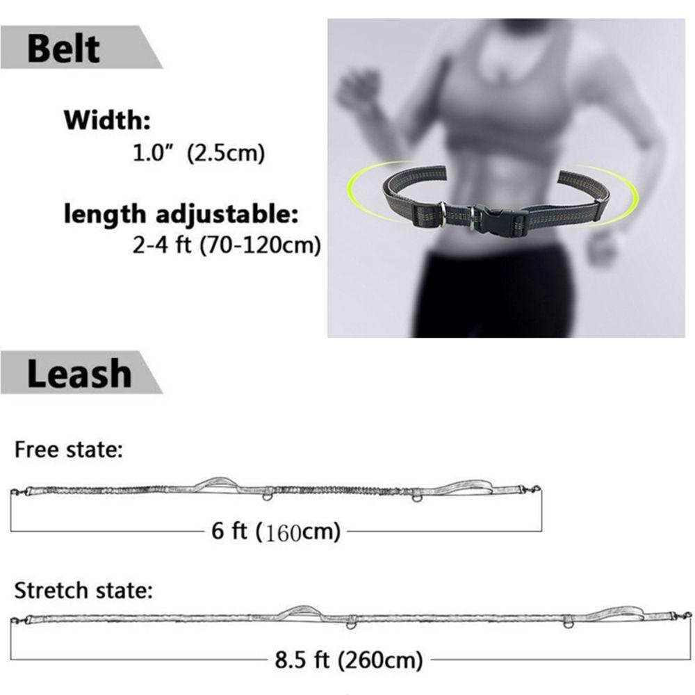 Dây Dắt Thú Cưng Đi Dạo Có Thể Điều Chỉnh Kích Thước AUGUSTINA