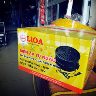 Bộ đổi nguồn 220V-110V lioa