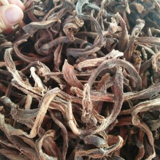 Tắc Kè Đá Khô